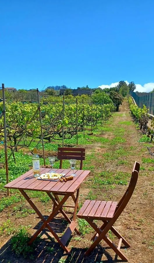 Apartamento Casa Nodica Tacoronte España